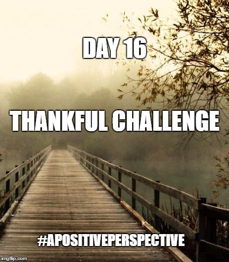 Best Friends | DAY 16; THANKFUL CHALLENGE; #APOSITIVEPERSPECTIVE | image tagged in best friends | made w/ Imgflip meme maker