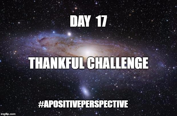 God Religion Universe | DAY  17; THANKFUL CHALLENGE; #APOSITIVEPERSPECTIVE | image tagged in god religion universe | made w/ Imgflip meme maker