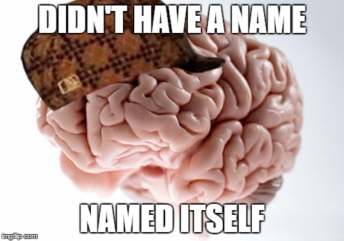 Thug Brain | DIDN'T HAVE A NAME; NAMED ITSELF | image tagged in memes,scumbag brain,mind,thug life,name,named | made w/ Imgflip meme maker