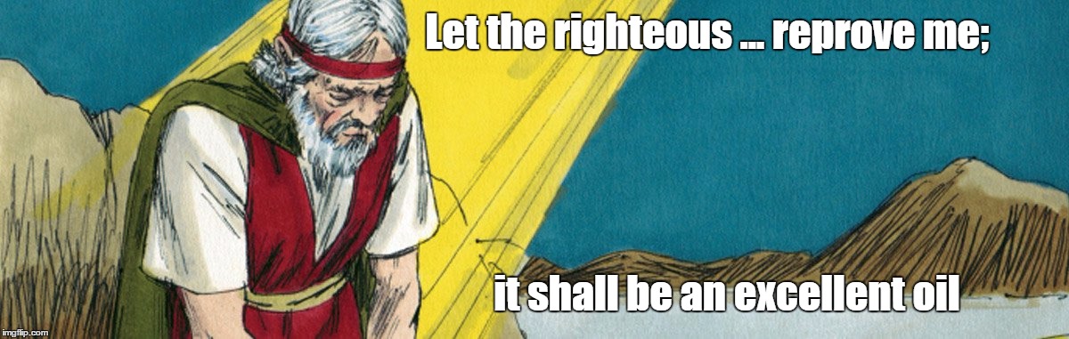 Let the righteous ... reprove me;; it shall be an excellent oil | image tagged in david asks for instruction | made w/ Imgflip meme maker