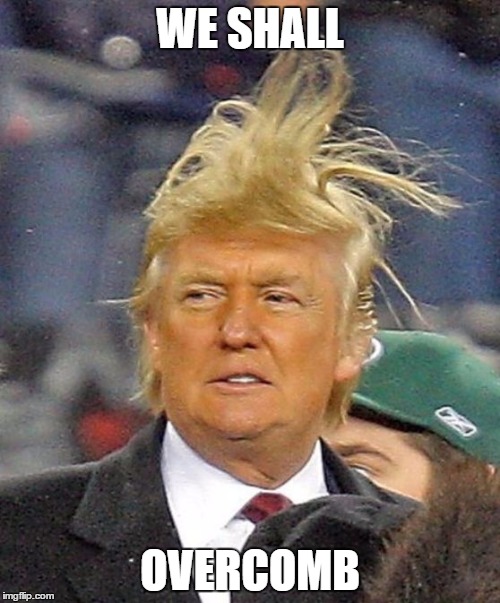 Donald Trumph hair | WE SHALL; OVERCOMB | image tagged in donald trumph hair | made w/ Imgflip meme maker