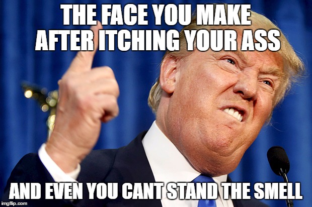 Donald Trump | THE FACE YOU MAKE AFTER ITCHING YOUR ASS; AND EVEN YOU CANT STAND THE SMELL | image tagged in donald trump | made w/ Imgflip meme maker