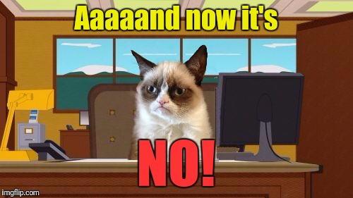 Aaaaand now it's Grumpy Cat | Aaaaand now it's; NO! | image tagged in aaaaand its gone blank,memes,aaaaand its gone,grumpy cat | made w/ Imgflip meme maker