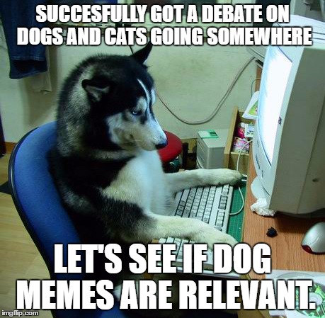 I Have No Idea What I Am Doing | SUCCESFULLY GOT A DEBATE ON DOGS AND CATS GOING SOMEWHERE; LET'S SEE IF DOG MEMES ARE RELEVANT. | image tagged in memes,i have no idea what i am doing | made w/ Imgflip meme maker
