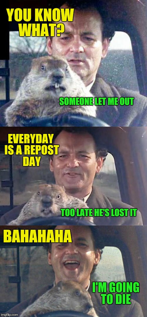 Ground Hog Day Madness | YOU KNOW WHAT? SOMEONE LET ME OUT EVERYDAY IS A REPOST DAY TOO LATE HE'S LOST IT BAHAHAHA I'M GOING TO DIE | image tagged in ground hog day madness | made w/ Imgflip meme maker