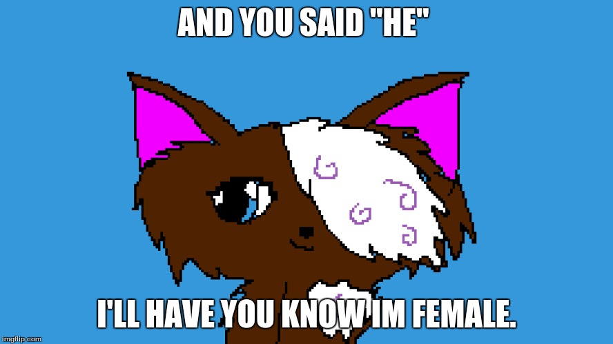 AND YOU SAID "HE" I'LL HAVE YOU KNOW IM FEMALE. | made w/ Imgflip meme maker