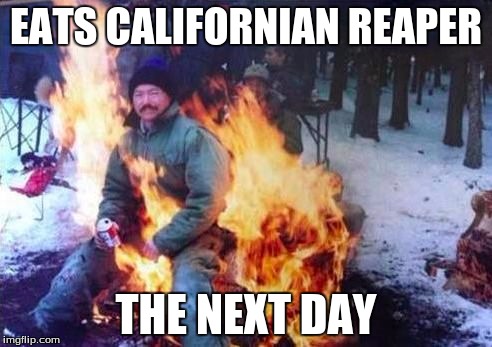 LIGAF Meme | EATS CALIFORNIAN REAPER; THE NEXT DAY | image tagged in memes,ligaf | made w/ Imgflip meme maker
