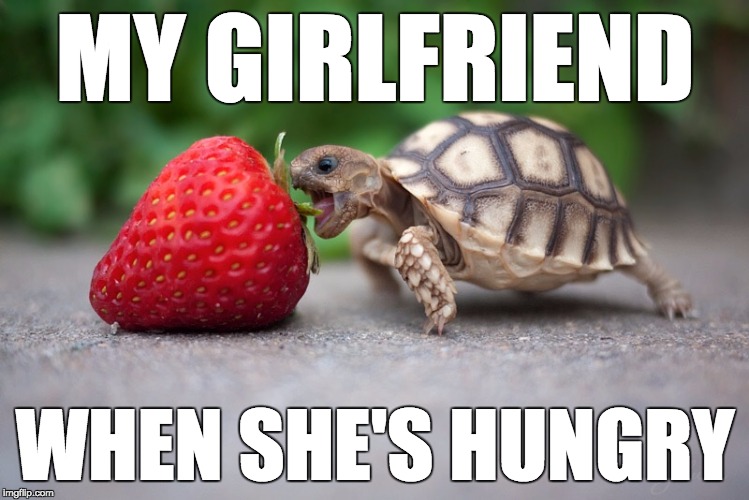 Hungry Girlfriend | MY GIRLFRIEND; WHEN SHE'S HUNGRY | image tagged in hungry,girlfriend,food,eating | made w/ Imgflip meme maker