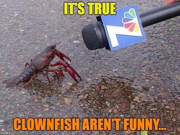 Scary clownfish are really unfunny | IT'S TRUE; CLOWNFISH AREN'T FUNNY... | image tagged in crawfish interview,memes,clownfish,animals,movies,finding nemo | made w/ Imgflip meme maker