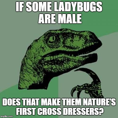 Philosoraptor | IF SOME LADYBUGS ARE MALE; DOES THAT MAKE THEM NATURE'S FIRST CROSS DRESSERS? | image tagged in memes,philosoraptor | made w/ Imgflip meme maker