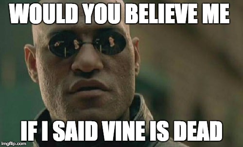Matrix Morpheus | WOULD YOU BELIEVE ME; IF I SAID VINE IS DEAD | image tagged in memes,matrix morpheus | made w/ Imgflip meme maker
