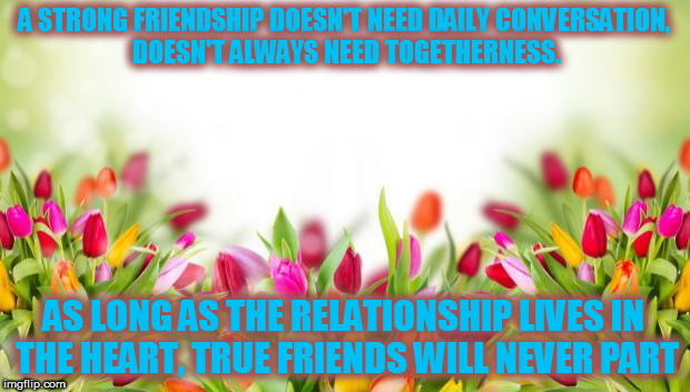 Strong Friendship Never Dies | A STRONG FRIENDSHIP DOESN'T NEED DAILY CONVERSATION, DOESN'T ALWAYS NEED TOGETHERNESS. AS LONG AS THE RELATIONSHIP LIVES IN THE HEART, TRUE FRIENDS WILL NEVER PART | image tagged in flowers,friends,heart | made w/ Imgflip meme maker