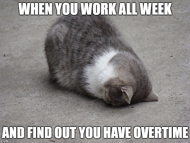 Cat Face Palm - Mondays | WHEN YOU WORK ALL WEEK; AND FIND OUT YOU HAVE OVERTIME | image tagged in cat face palm - mondays | made w/ Imgflip meme maker