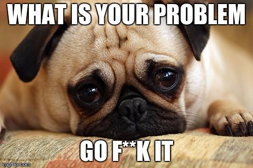 sad pug | WHAT IS YOUR PROBLEM; GO F**K IT | image tagged in sad pug | made w/ Imgflip meme maker