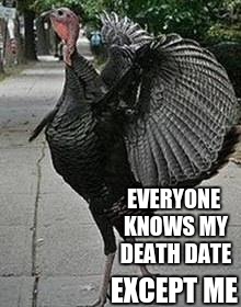 Turkey | EVERYONE KNOWS MY DEATH DATE; EXCEPT ME | image tagged in turkey | made w/ Imgflip meme maker