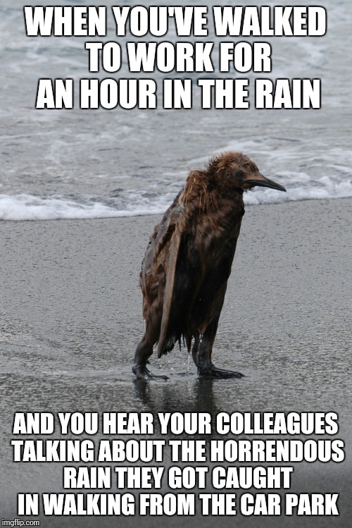 wet penguin | WHEN YOU'VE WALKED TO WORK FOR AN HOUR IN THE RAIN; AND YOU HEAR YOUR COLLEAGUES TALKING ABOUT THE HORRENDOUS RAIN THEY GOT CAUGHT IN WALKING FROM THE CAR PARK | image tagged in wet penguin | made w/ Imgflip meme maker