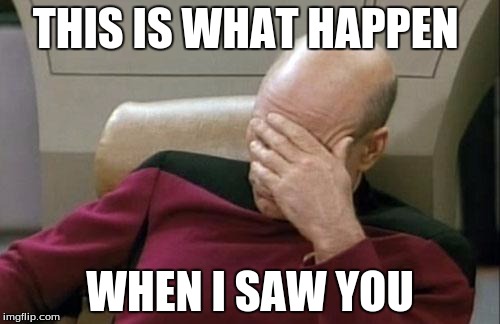 Captain Picard Facepalm Meme | THIS IS WHAT HAPPEN; WHEN I SAW YOU | image tagged in memes,captain picard facepalm | made w/ Imgflip meme maker