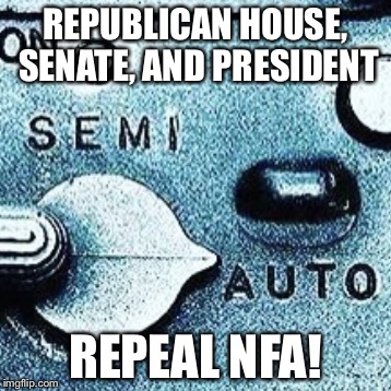 REPUBLICAN HOUSE, SENATE, AND PRESIDENT; REPEAL NFA! | image tagged in auto | made w/ Imgflip meme maker