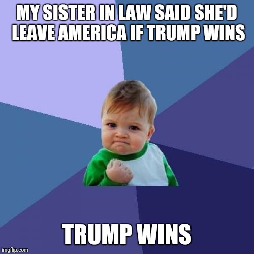 Success Kid Meme | MY SISTER IN LAW SAID SHE'D LEAVE AMERICA IF TRUMP WINS; TRUMP WINS | image tagged in memes,success kid | made w/ Imgflip meme maker