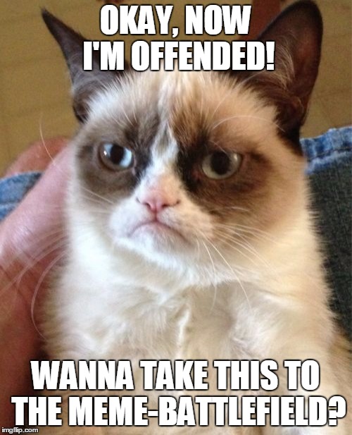 happened before, didn't it? | OKAY, NOW I'M OFFENDED! WANNA TAKE THIS TO THE MEME-BATTLEFIELD? | image tagged in memes,grumpy cat | made w/ Imgflip meme maker