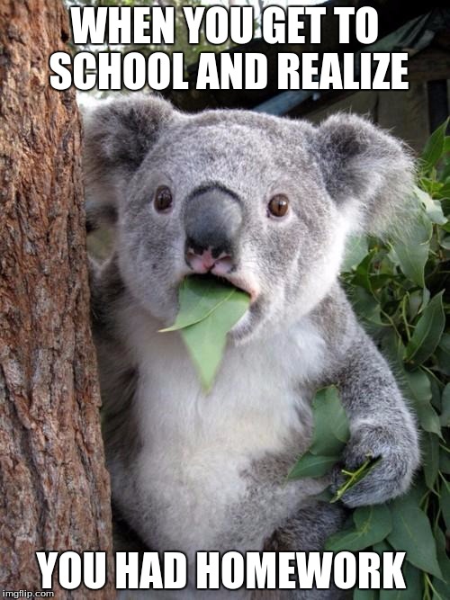 Surprised Koala Meme | WHEN YOU GET TO SCHOOL AND REALIZE; YOU HAD HOMEWORK | image tagged in memes,surprised koala | made w/ Imgflip meme maker