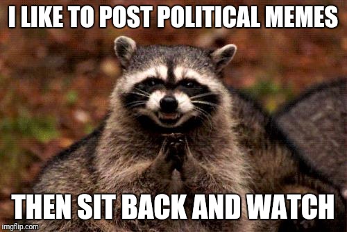 Evil Plotting Raccoon | I LIKE TO POST POLITICAL MEMES; THEN SIT BACK AND WATCH | image tagged in memes,evil plotting raccoon | made w/ Imgflip meme maker
