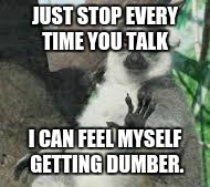 JUST STOP EVERY TIME YOU TALK; I CAN FEEL MYSELF GETTING DUMBER. | image tagged in funny animals | made w/ Imgflip meme maker