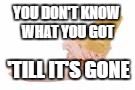 YOU DON'T KNOW WHAT YOU GOT 'TILL IT'S GONE | made w/ Imgflip meme maker