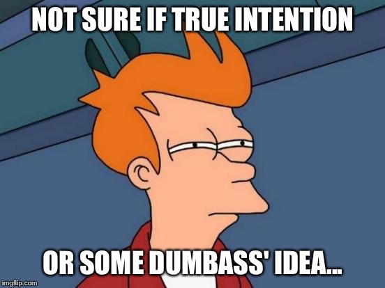 Futurama Fry | NOT SURE IF TRUE INTENTION; OR SOME DUMBASS' IDEA... | image tagged in memes,futurama fry | made w/ Imgflip meme maker