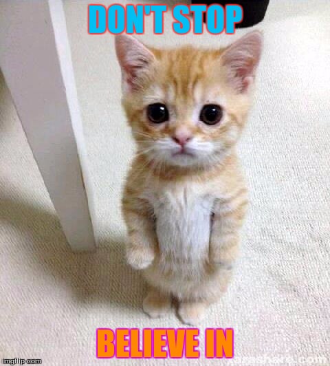 Cute Cat Meme | DON'T STOP; BELIEVE IN | image tagged in memes,cute cat | made w/ Imgflip meme maker