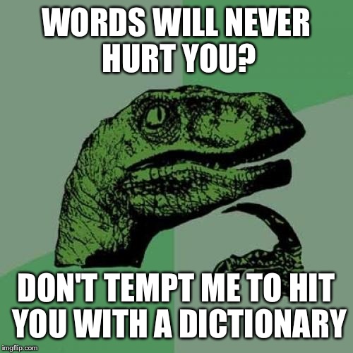 Philosoraptor Meme | WORDS WILL NEVER HURT YOU? DON'T TEMPT ME TO HIT YOU WITH A DICTIONARY | image tagged in memes,philosoraptor | made w/ Imgflip meme maker