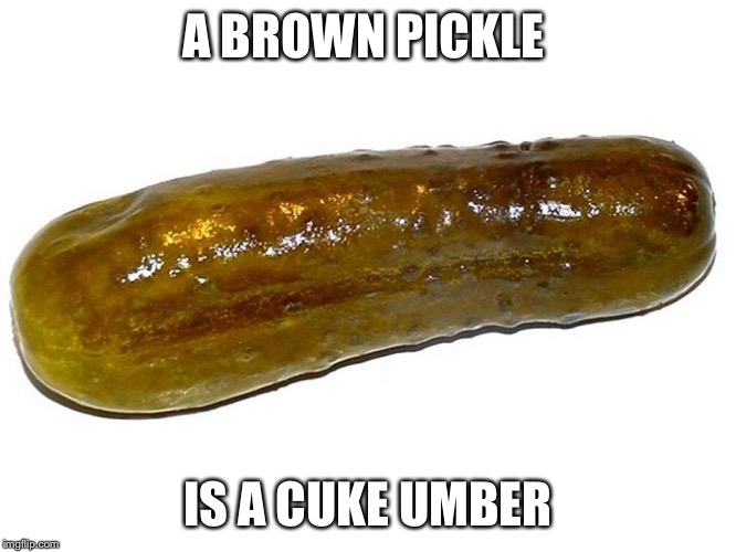 Turning brown put it in a pickle | A BROWN PICKLE; IS A CUKE UMBER | image tagged in pickle | made w/ Imgflip meme maker