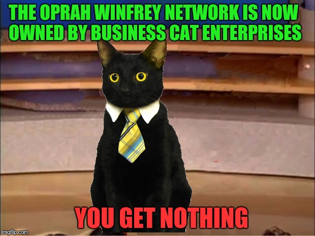 Oprah had an unexpected guest on the show today | THE OPRAH WINFREY NETWORK IS NOW OWNED BY BUSINESS CAT ENTERPRISES; YOU GET NOTHING | image tagged in memes,oprah you get a,business cat | made w/ Imgflip meme maker