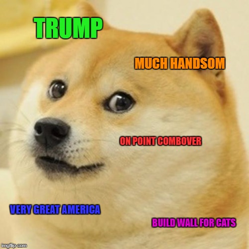 Doge Meme | TRUMP; MUCH HANDSOM; ON POINT COMBOVER; VERY GREAT AMERICA; BUILD WALL FOR CATS | image tagged in memes,doge | made w/ Imgflip meme maker