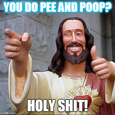 Buddy Christ Meme | YOU DO PEE AND POOP? HOLY SHIT! | image tagged in memes,buddy christ | made w/ Imgflip meme maker