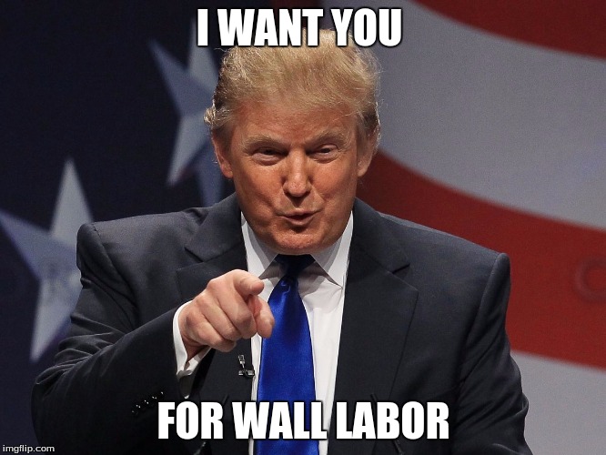 Donald trump | I WANT YOU; FOR WALL LABOR | image tagged in donald trump | made w/ Imgflip meme maker