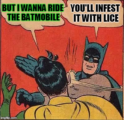 Batman Slapping Robin Meme | BUT I WANNA RIDE THE BATMOBILE YOU'LL INFEST IT WITH LICE | image tagged in memes,batman slapping robin | made w/ Imgflip meme maker