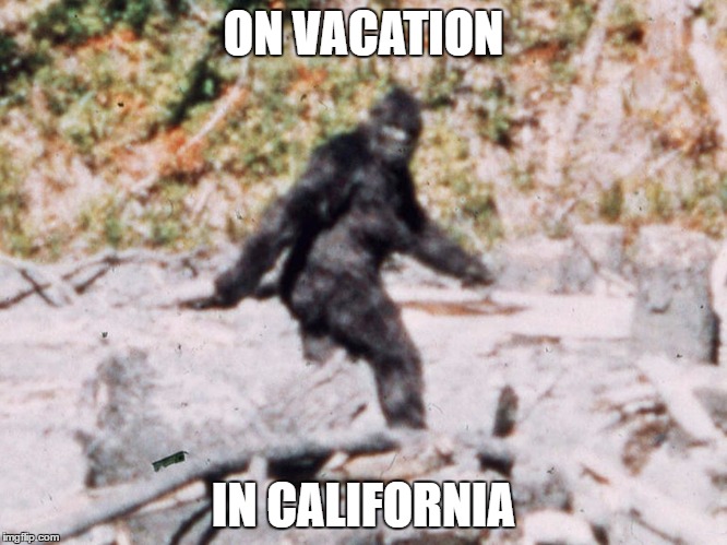 ON VACATION IN CALIFORNIA | made w/ Imgflip meme maker
