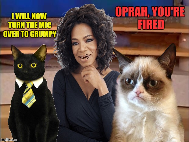 I WILL NOW TURN THE MIC OVER TO GRUMPY OPRAH, YOU'RE FIRED | made w/ Imgflip meme maker