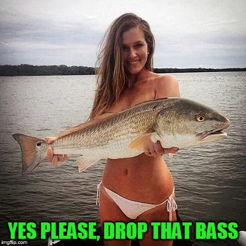 YES PLEASE, DROP THAT BASS | made w/ Imgflip meme maker