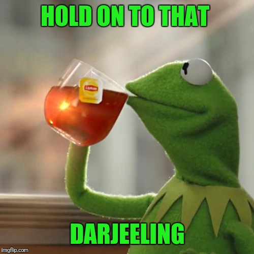 But That's None Of My Business Meme | HOLD ON TO THAT DARJEELING | image tagged in memes,but thats none of my business,kermit the frog | made w/ Imgflip meme maker