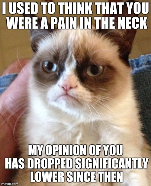Grumpy Cat | I USED TO THINK THAT YOU WERE A PAIN IN THE NECK; MY OPINION OF YOU HAS DROPPED SIGNIFICANTLY LOWER SINCE THEN | image tagged in memes,grumpy cat | made w/ Imgflip meme maker