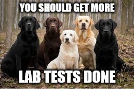 YOU SHOULD GET MORE LAB TESTS DONE | made w/ Imgflip meme maker