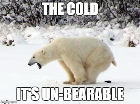 Winter Is Coming! | THE COLD; IT'S UN-BEARABLE | image tagged in polar bear shits in the snow | made w/ Imgflip meme maker
