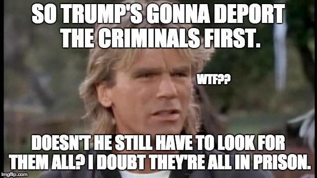 So...??? | WTF?? | image tagged in macgyver,macgyver confused,trump,deport,illegal immigrants | made w/ Imgflip meme maker