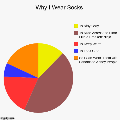 Why I Wear Socks | image tagged in funny,pie charts,funny memes,memes,socks,socks and sandals | made w/ Imgflip chart maker