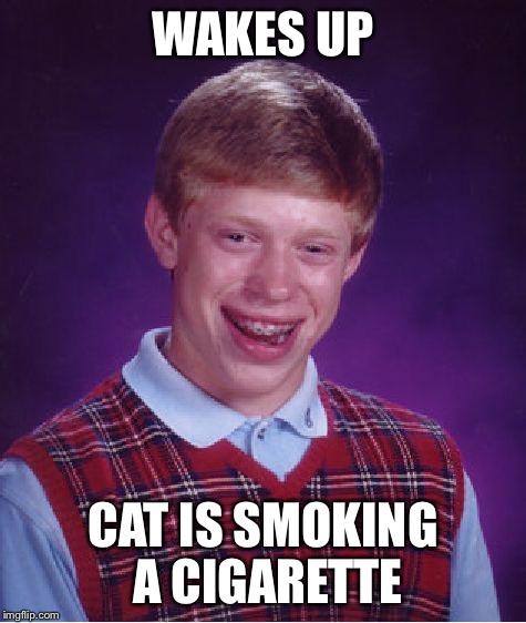 Bad Luck Brian Meme | WAKES UP CAT IS SMOKING A CIGARETTE | image tagged in memes,bad luck brian | made w/ Imgflip meme maker