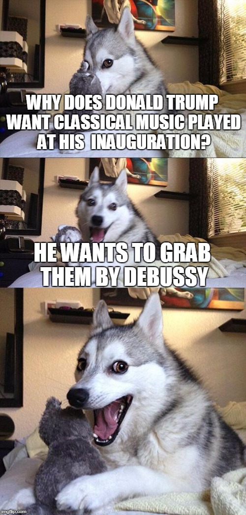 Bad Pun Dog Meme | WHY DOES DONALD TRUMP WANT CLASSICAL MUSIC PLAYED AT HIS  INAUGURATION? HE WANTS TO GRAB THEM BY DEBUSSY | image tagged in memes,bad pun dog | made w/ Imgflip meme maker