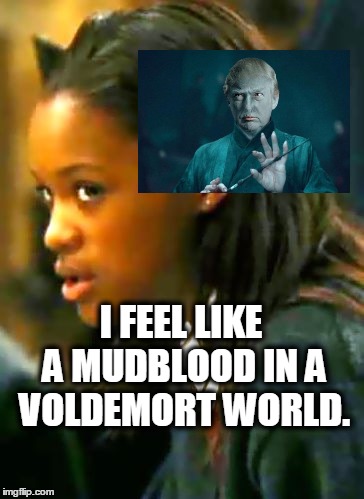 I FEEL LIKE A MUDBLOOD IN A VOLDEMORT WORLD. | image tagged in angelina johnson,hp | made w/ Imgflip meme maker