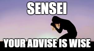 SENSEI YOUR ADVISE IS WISE | made w/ Imgflip meme maker